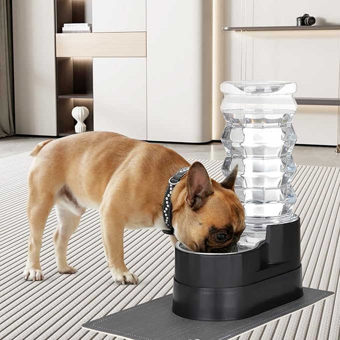 RIZZARI Large Water Dispenser for Dogs: 8L Gravity Black Automatic Stainless Steel Waterer - 100% BPA Free - Raised Pet Feeder for Pet Dogs Indoor/Outdoor