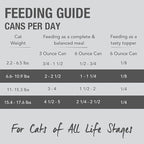 Feline Natural New Zealand Canned Catfood Wet Food, High-Meat, Low-Carb, & Grain Free Cat Food Wet, Lamb Feast, 6 oz, Pack of 12