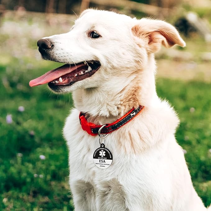 MYLUCKYTAG Emotional Support Animal (ESA) QR Code Stainless Steel Pet ID Tag - Online Profile, Location Alert Email, Digital, Durable Collar Tag - Engraved