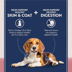 Natural Balance Limited Ingredient Adult Dry Dog Food with Healthy Grains, Salmon & Brown Rice Recipe, 4 Pound (Pack of 1)