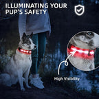 Super Bright LED Dog Collar - Fully Waterproof & Adjustable Glow Collar - USB-C Rechargeable for Night Walking, Safety - Flashing Lighted Collar for Dogs(Red,Medium)