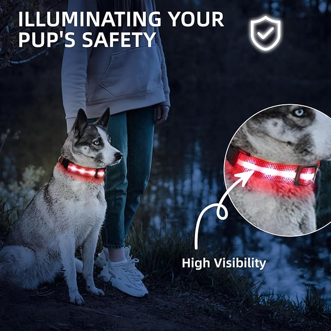 Super Bright LED Dog Collar - Fully Waterproof & Adjustable Glow Collar - USB-C Rechargeable for Night Walking, Safety - Flashing Lighted Collar for Dogs(Red,Medium)