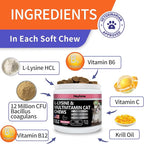 Lysine Supplement for Cats, Cat Treats for Sneezing and Runny Nose, Cat Cold, Cat Immune Support, Eye Function, and Respiratory Health, L-Lysine cat Vitamins for Cats (120 Pills, Salmon)