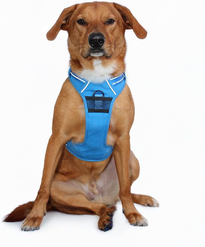Doggie Design Venture Paw No Pull Dog Harness - Simple Adjustable Puppy Harness - Anti Pull Dog Collar for Walks and Outdoor Adventures - Mountain Lake, L