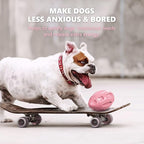 EASTBLUE Squeaky Dog Toys for Aggressive Chewers: Rubber Puppy Chew Ball with Squeaker, Almost Indestructible and Durable Pet Toy for Medium and Large Breed