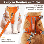 Cat Harness and Leash Set for Walking Escape Proof for Small Large cat Kitten Harness with ID tag Pocket (Orange,XXS)