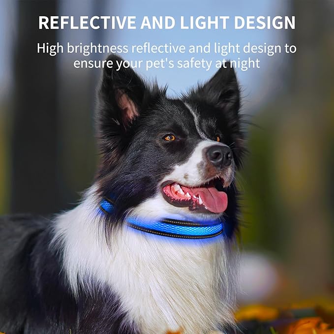 AirTag Dog Collar with QR Code & LED Light, IP68 Waterproof Rechargeable Pet Collar with Reflective Strips, Durable Airtag Holder for Medium/Large Dogs (Blue, L(20-24 in))