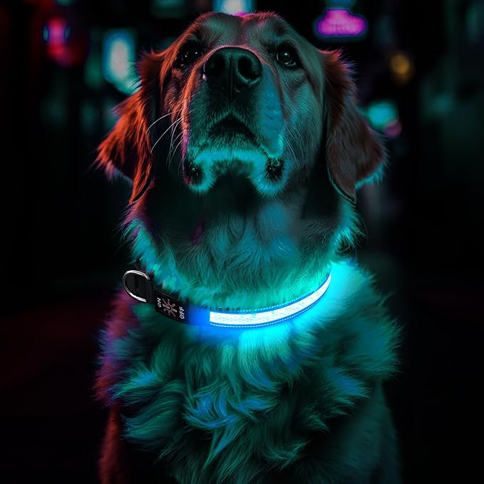 Light Up Dog Collar Rechargeable, LED Glow Collar in Dark with 3 Flash Mode for Outdoor Night Walking Visible Safe, Adjustable Waterproof Dog Light for Small Medium Large Breed, Blue, L