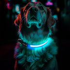 Light Up Dog Collar Rechargeable, LED Glow Collar in Dark with 3 Flash Mode for Outdoor Night Walking Visible Safe, Adjustable Waterproof Dog Light for Small Medium Large Breed, Blue, M
