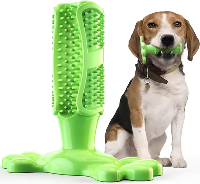 Chew Toy for Dog Toothbrush Stick Dog Toys for Aggressive Chewers Interactive Toys Treats Tough Toy to Keep Them Busy Chew for Small Dogs (Green, M)