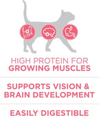 Purina ONE High Protein, Natural Dry Kitten Food, +Plus Healthy Kitten Formula - 16 lb. Bag