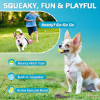 Squeaky Dog Toys Soft Latex Rubber Squeaky Dog Balls for Puppy Small Pet Dogs (8 Pack) (Round Balls)