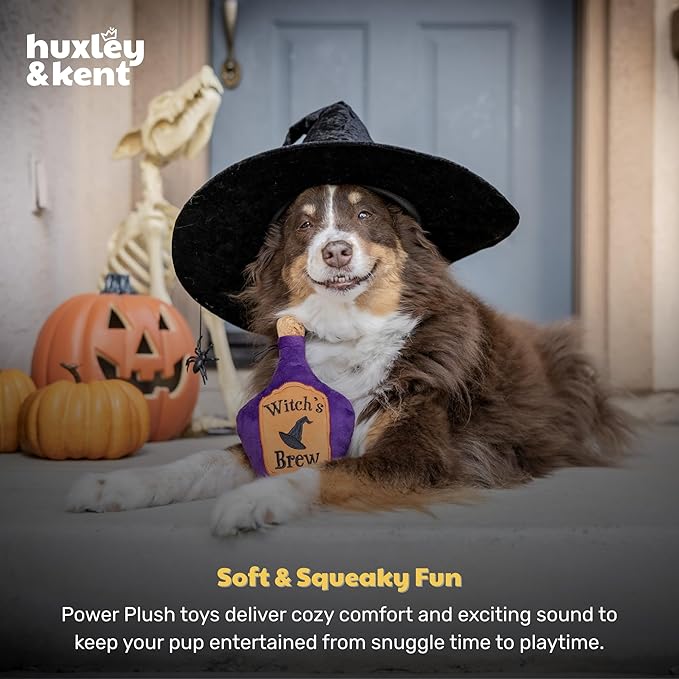 Huxley & Kent Halloween Funny Dog Toy w/Squeaker – Power Plush Squeaky Dog Toys for Small, Medium & Large Dogs – Soft Stuffed Animal for Indoor Play & Fetch - Witch's Brew, One Size