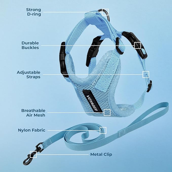 Voyager Escape-Proof Step-in Lock Cat Harness & 5ft Neoprene-Handle Leash Set All-Weather Mesh with Reflective Stitching for Small to Large Cats by Best Pet Supplies, Baby Blue, S