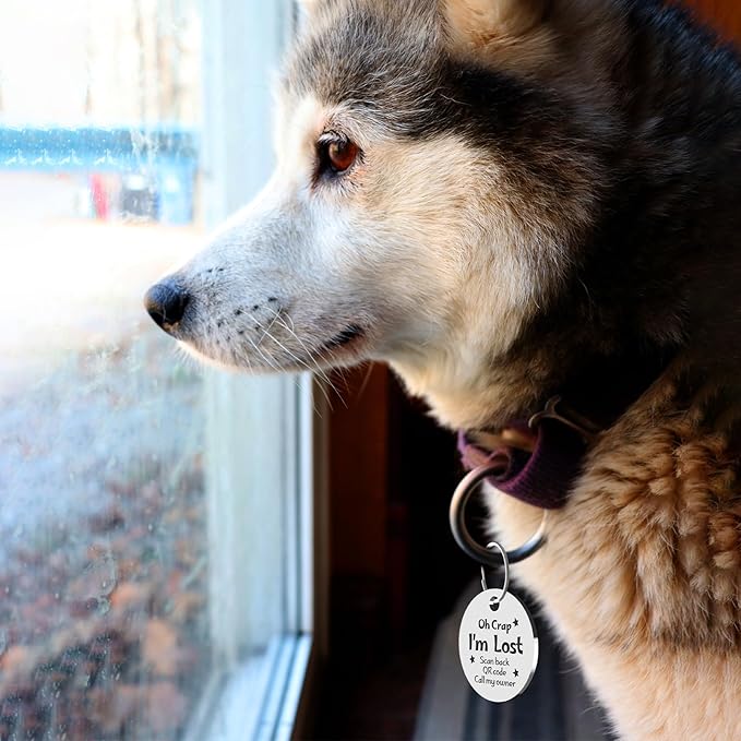 MyluckyTag Personalized QR Digital Dog Tag - Stainless Steel, Durable Pet ID, Collar Tag with Engraving, Online Pet Profile & Location Alerts