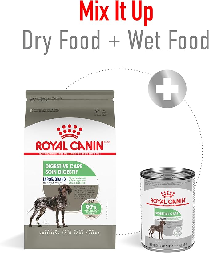 Royal Canin Large Digestive Care Dry Dog Food, 30 lb bag