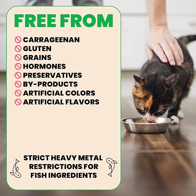 almo nature HQS Natural Wet Cat Food Tuna and Cheese in Broth, Grain-Free, 5.29 oz ((Pack of 24))