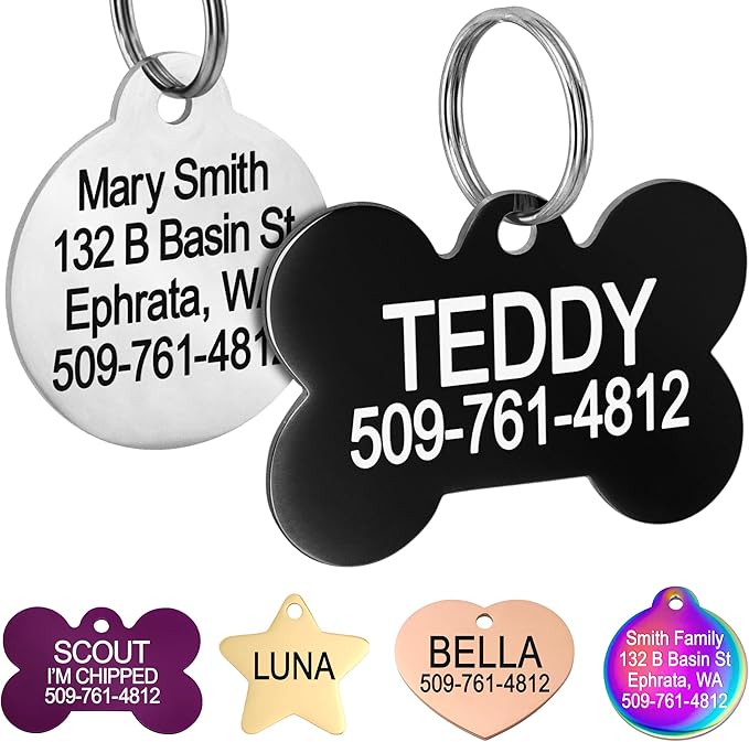 GoTags Dog Tags Personalized Engraved Pet ID Tags, Stainless Steel, Front and Backside Engraving, Available in Bone, Round, Heart, Bow Tie and More, Small and Large Dog and Cat (Pack of 1)