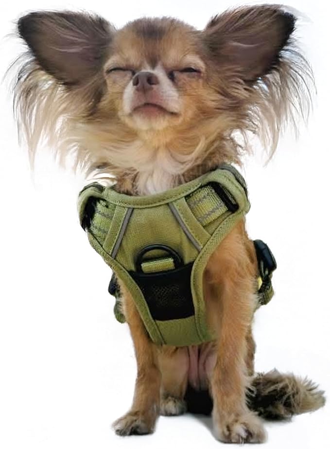 Doggie Design Venture Paw No Pull Dog Harness - Simple Adjustable Puppy Harness - Anti Pull Dog Collar for Walks and Outdoor Adventures - Aspen, XS