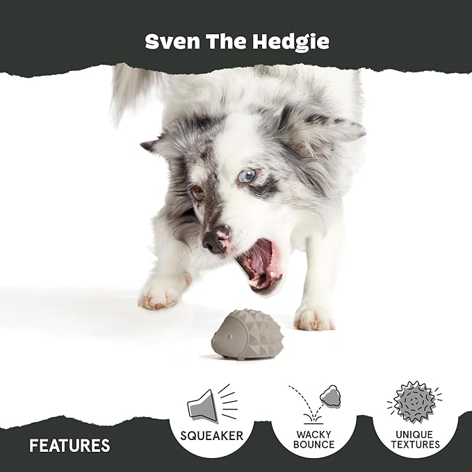 Barkbox Sven The Hedgie Super Chewer Dog Toy | Natural Rubber, Wacky Bounce & Rippled Texture | Durable Dog Toy for Aggressive Chewers, Medium to Large Dogs