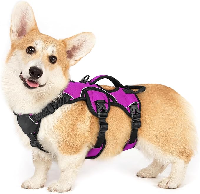 rabbitgoo Escape Proof Dog Harness, Soft Padded Full Body Pet Harness, Reflective Adjustable No Pull Vest with Lift Handle and Lesh Clip for Large Dogs Walking Hiking Training, S, Purple