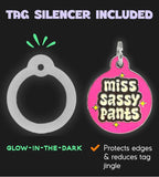 Personalized QR Code Dog Tags - Choose from 25+ Tag Designs - QR Code Links to Your Profile - Unique, Cute, Funny, Sassy Pet ID Tag (Miss Sassy Pants, Large (1.25 inch))