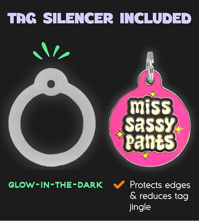 Personalized QR Code Dog Tags - Choose from 25+ Tag Designs - QR Code Links to Your Profile - Unique, Cute, Funny, Sassy Pet ID Tag (Miss Sassy Pants, Large (1.25 inch))