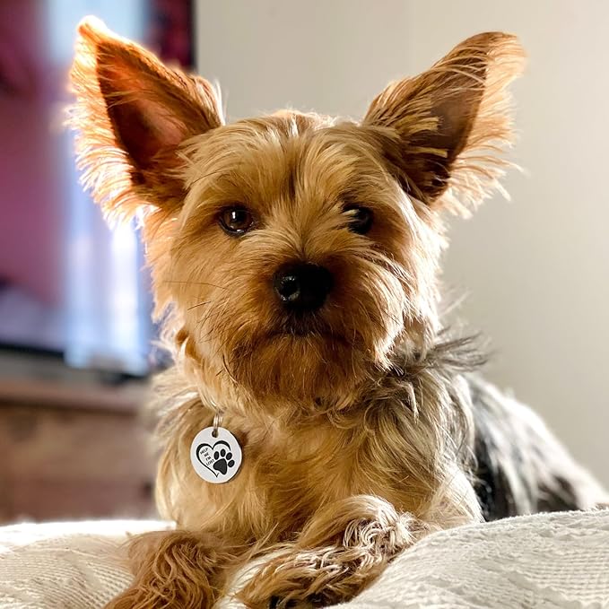 MYLUCKYTAG QR Code Stainless Steel Dog ID Tag, Digital Pet Profile, Location Alert Email, Engraved Dog Collar Tag