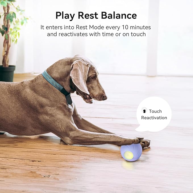 Trueway Smart Interactive Dog Toy, Wicked Ball PE, Automatic Moving Bouncing Rotating Ball for Medium Large Dogs Boredom with LED Lights (Purple)