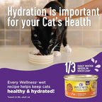 Wellness Complete Health Pate Adult Wet Cat Food, Natural, Protein-Rich, Grain Free, 3 Ounce, 24 Pack, (Beef & Chicken)