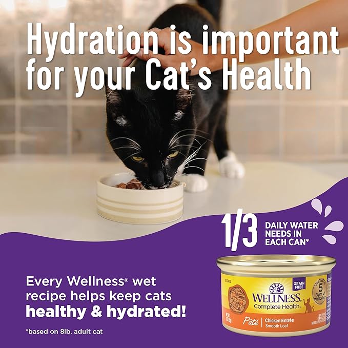 Wellness Complete Health Pate Adult Wet Cat Food, Natural, Protein-Rich, Grain Free, 5.5 Ounce, 24 Pack, (Beef & Chicken)