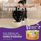 Wellness Complete Health Pate Adult Wet Cat Food, Natural, Protein-Rich, Grain Free, 3 Ounce, 24 Pack, (Turkey)