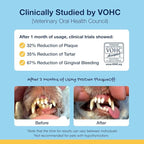 ProDen PlaqueOff System Dental Care Bones - Dog Teeth Cleaning Bones for Oral Hygiene -Medium/Large Canine Formula - Bacon Flavor -17 oz(Packaging May Vary)