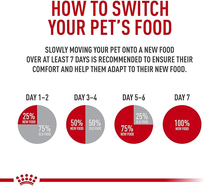Royal Canin Feline Health Nutrition Kitten Thin Slices in Gravy Cat Food, 3 oz (Pack of 12)