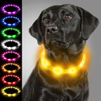 Joytale Light Up Dog Collar, Rechargeable Rainproof LED Collar for Night Walking Safety, Soft Silicone Glow in The Dark, Suitable for Small Medium Large Dogs, Yellow