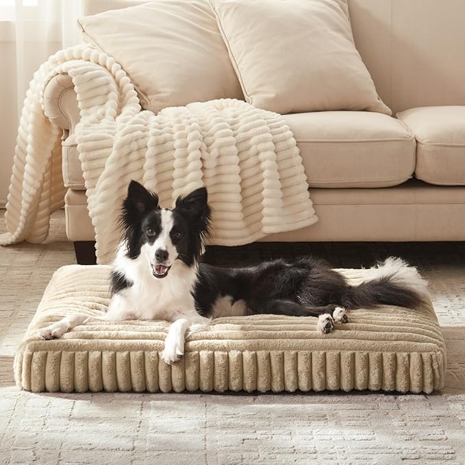 Dog Beds Large Sized Dog, Flat Pet Beds with Removable Washable Cover, Pet Mat Cute Pet Crate Bed Thick Shredded Chopped Crate Foam & Anti Slip Bottom for Indoor, 35"x23"x4" Beige