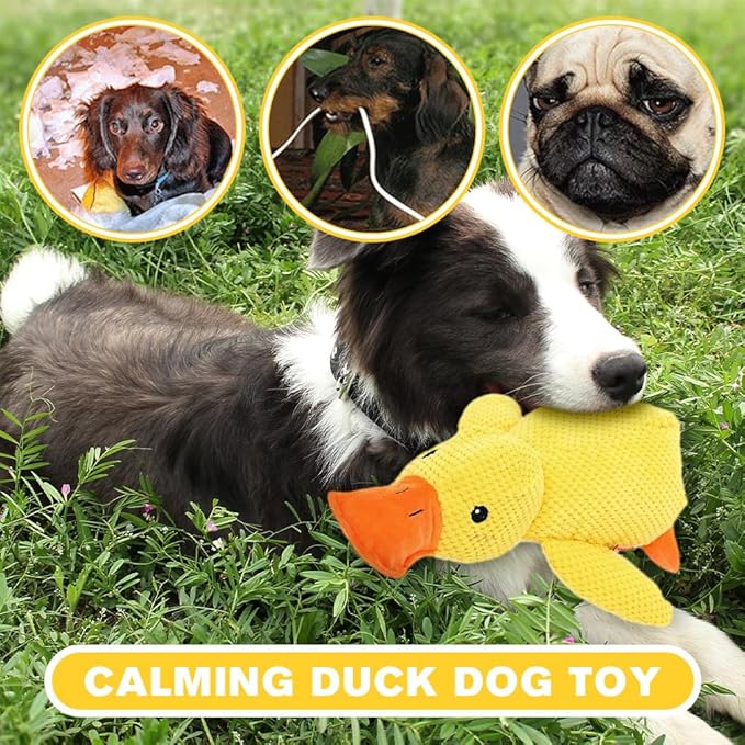 Quack-Quack Duck Dog Toy,Durable Plush Chew Toy with Sounds,Stuffed Plush Calming Duck Dog Toy for Indoor Puppies and Senior Pups (Yellow, Medium)