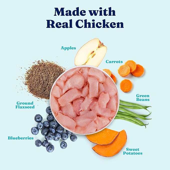 Solid Gold Weight Management Dog Food Wet - High Fiber Grain Free Dog Food Wet Recipe w/Real Chicken, Sweet Potato & Green Beans - Healthy Weight & Gut Health Support for Dogs - 6ct/12.5oz Cans