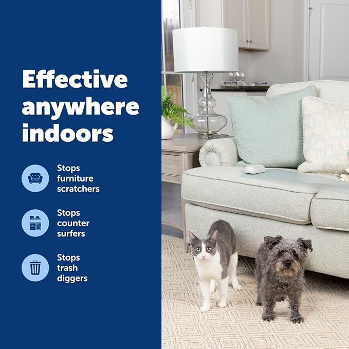 PetSafe ScatMat Indoor Training Mat