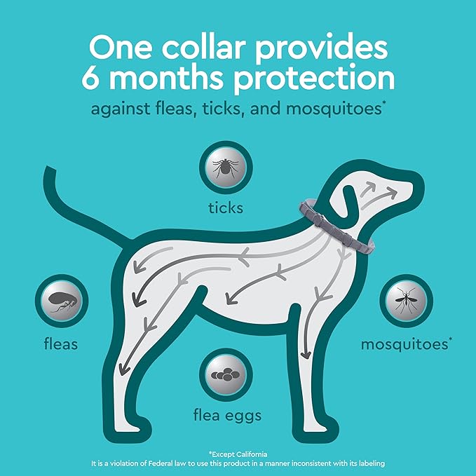 Provecta® PRO Flea & Tick Collar for Dogs