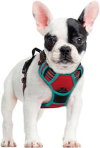 rabbitgoo Dog Harness No Pull with 2 Leash Clips, Adjustable Soft Padded, Reflective Oxford No Choke Pet Vest with Easy Control Handle for Small Dogs, Red & Teal, S