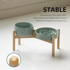 Ceramic Raised Slow Feeder Dog Bowl Set, Elevated 6.1inch Bowl and 7.3inch Puzzle Slow Food Dish with Wooden Stand for Small and Medium Dog, Anti-Gulping (2X Light Green+ Stand)