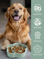 Ceramic Slow Feeder Dog/Cat Bowl, Anti-Choking Food Bowl, 8" 11.3oz for Medium, Large Breeds, Plum Puzzle Design, Non-Slip Silicone, Dishwasher and Microwave Safe, Green