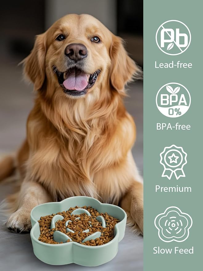 Ceramic Slow Feeder Dog/Cat Bowl, Anti-Choking Food Bowl, 8" 11.3oz for Medium, Large Breeds, Plum Puzzle Design, Non-Slip Silicone, Dishwasher and Microwave Safe, Green