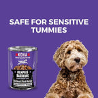 KOHA Memphis BBQ Stew for Dogs with Chicken and Pork, High Protein Wet Dog Food, 12.7oz Cans (Case of 12)