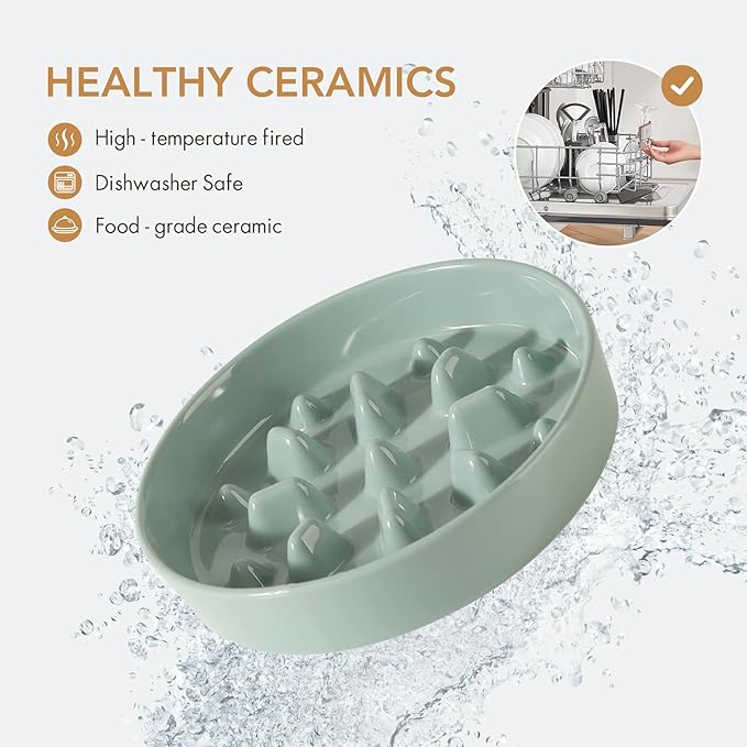 Ceramic 8.2 inch Dog Bowl Slow Feeder, Slow Pet Food Dish for Medium and Large Dog, Stop Bloat, Preventing Choking(Single Bowl, Light Green)