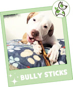 Nature Gnaws Bully Sticks for Dogs 5-6" (8oz) - Mixed Thickness - Long Lasting for Aggressive Chewers and Large Dogs - Natural Beef Dog Chew Bones