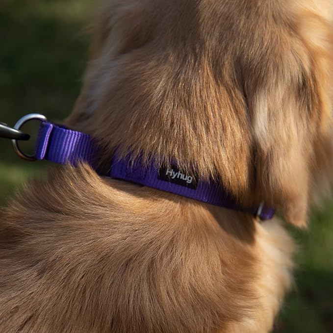 Hyhug Martingale Collar for Dogs Large Purple |Escape - Proof Heavy Duty Nylon Durable No Pull, Ideal for Training & Daily Walks