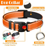No Pull Dog Harness, Collar & Leash Set | Includes Dog Seat Belt, Collapsible Bowls & Poop Bag Dispenser. Ideal for Training, Walking, Hiking. Fits Small to Large Dogs(Orange-XL)
