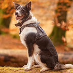 rabbitgoo Dog Harness Small Sized No Pull, Tactical Service Pet Vest with Molle and Control Handle, Adjustable and Reflective Military Harness for Easy Walking and Training, Blue, S